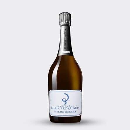 ワイン BRUNO PAILLARD LE MESNIL 2020 ☆[2020] ブルーノ・パーヤール ル・メニル・コトー